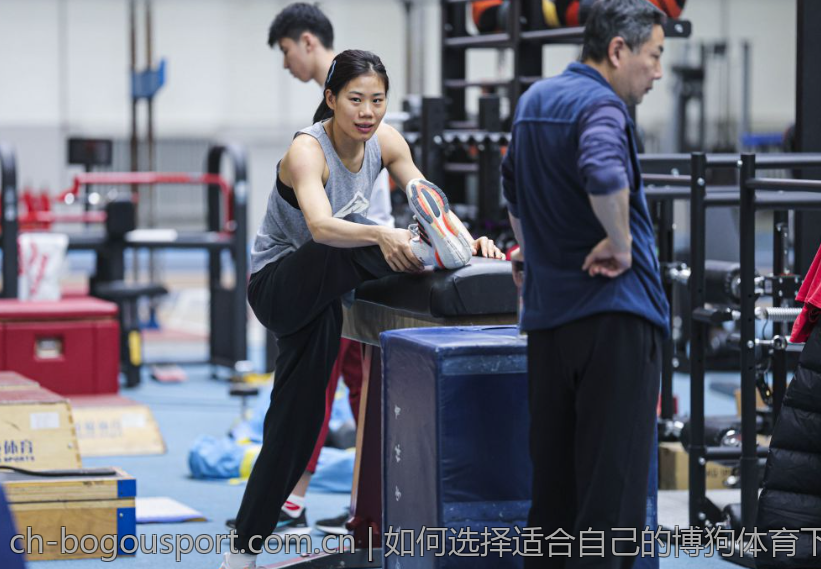 如何选择适合自己的博狗体育下载版本
