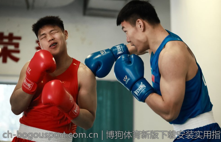 博狗体育新版下载安装实用指南